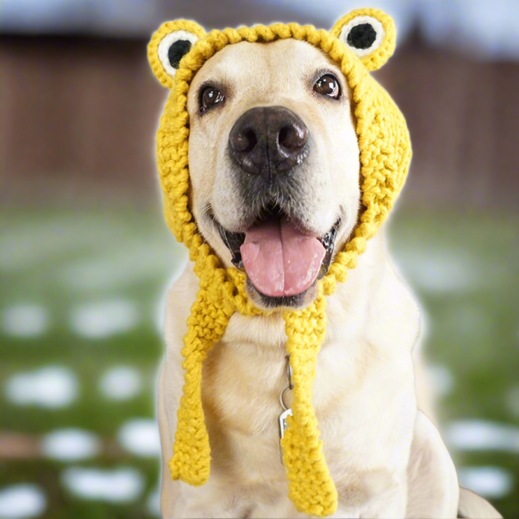 Dog Hand Knitted Wool Hat